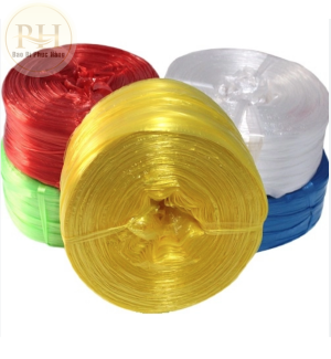 Dây bẹ đủ màu